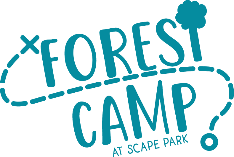 Forest Camp